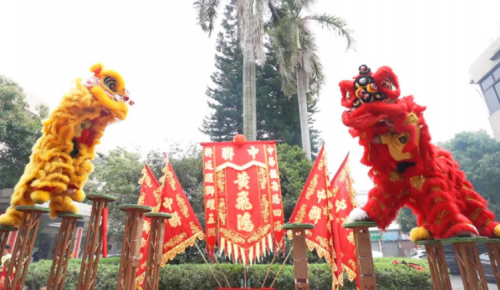 龙腾狮跃，，，，，共铸绚烂未来！